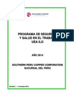 Programa de Seguridad y Salud en El Trabajo