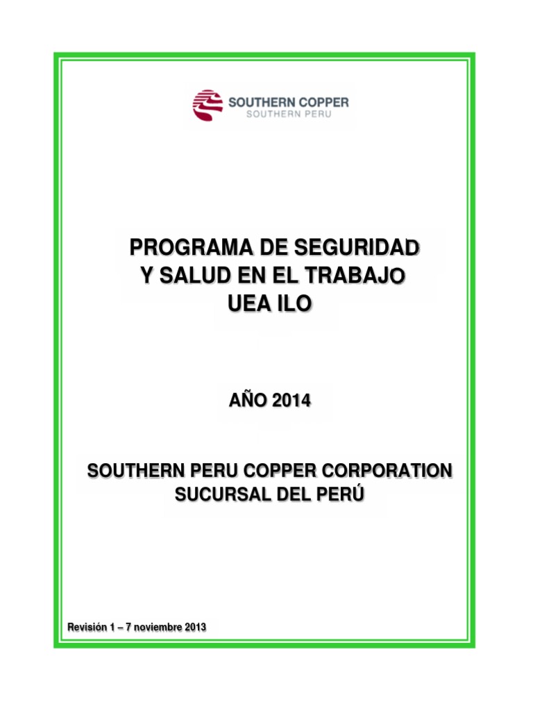 Programa de Seguridad y Salud en El Trabajo | PDF | Seguridad y salud ...