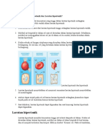 Modul 1 Fistum