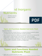 Unit 4 Plant and Inorganic Nutrients