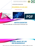 Microarreglos de ADN: Diseño, aplicaciones y etapas