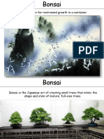 Bonsai PDF