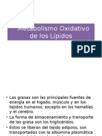 Metabolismo Oxidativo de Los Lípidos (1)