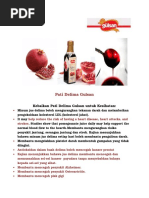 GULSAN Pomegranate Concentrate - BM