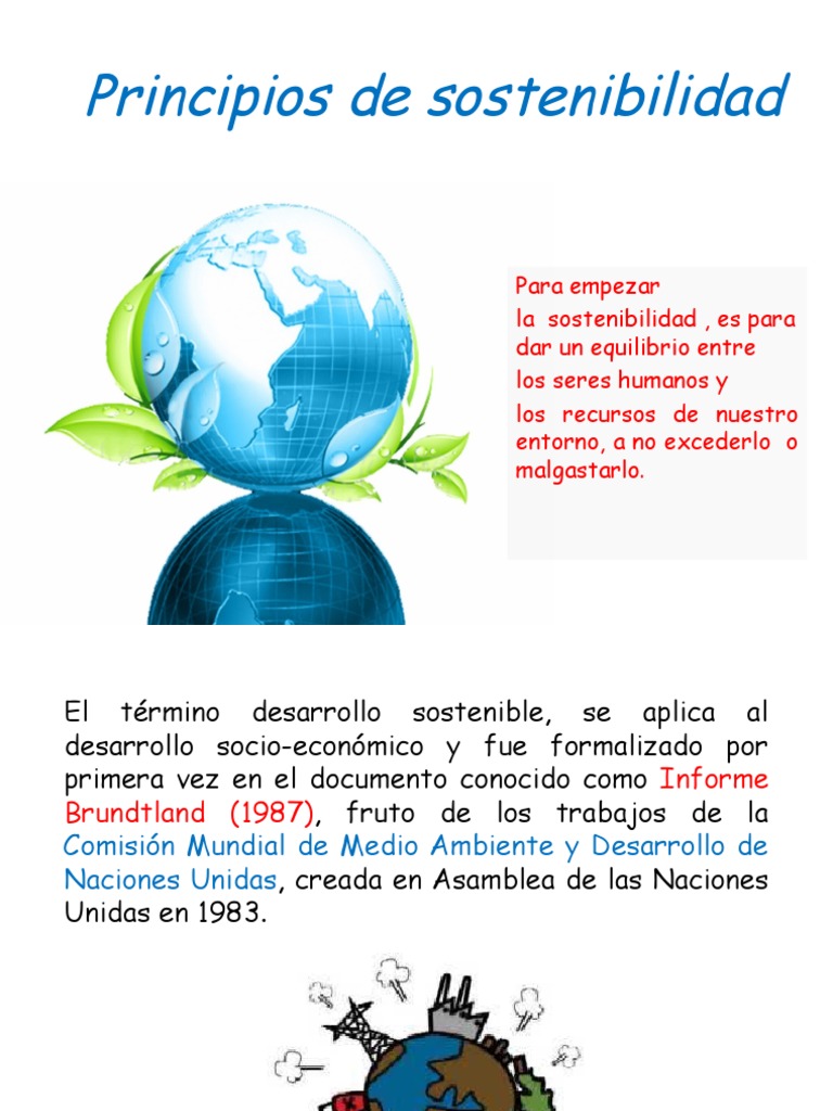 1.2. Principios de La Sust Sustentabilidad Desarrollo