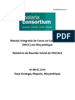 iNSCALE Mozambique Inception Meeting Report Portugues