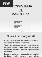 ECOSSISTEMA DE MANGUEZAL