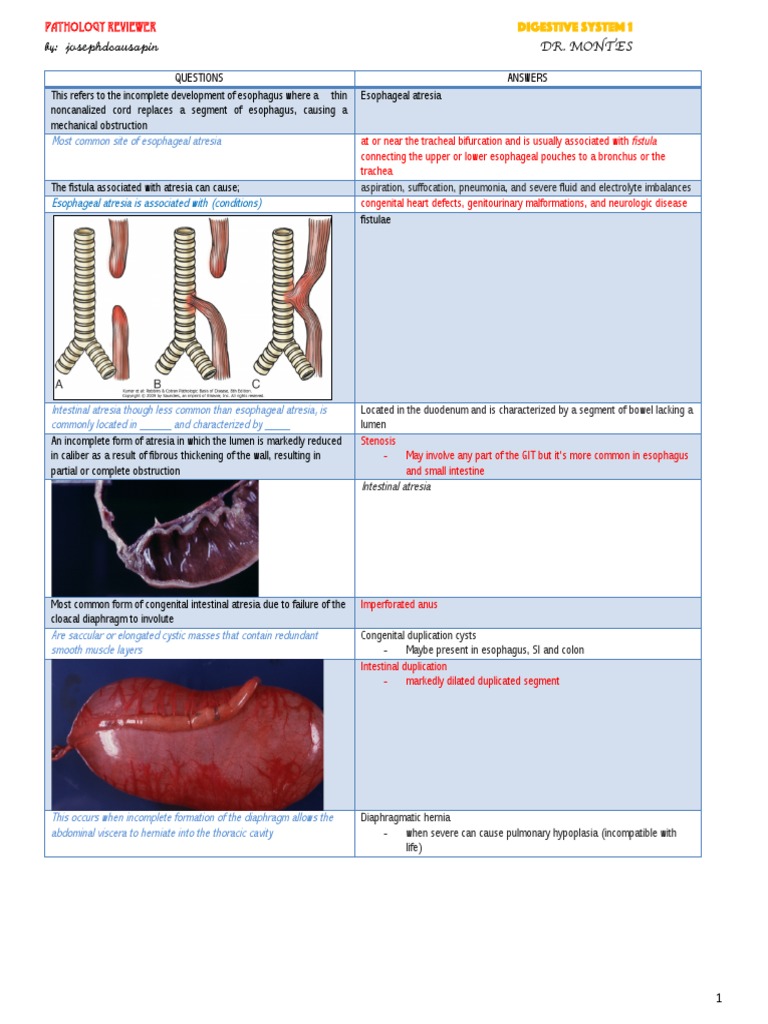 Test Bank On GI Pathology | PDF | Esophagus | Gastroesophageal Reflux ...