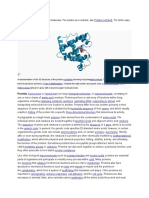 Protein (Nutrient) Protein (Disambiguation)