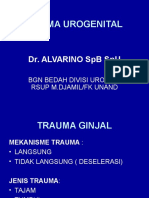 Trauma Urogenital