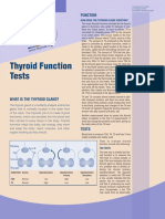 FunctionTests Brochure PDF