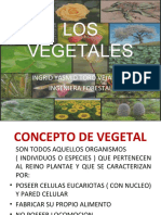 Los Vegetales