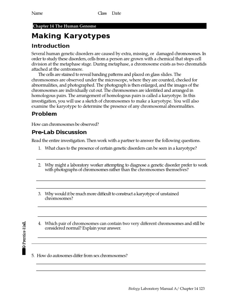 worksheet Biology Karyotype Worksheet Answers karyograms and karyotyping karyotype chromosome