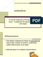 2011inflammation PDF