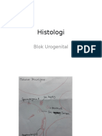 Histologi: Blok Urogenital