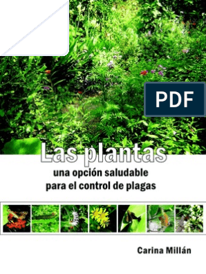 Plantas Una Opcion Saludable Para El Control De Plagas Pesticida