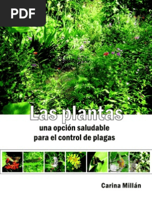 Plantas Una Opcion Saludable Para El Control De Plagas Pesticida