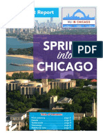 Spring Into Chicago Final Report