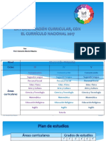 Planificacion curricular 2017