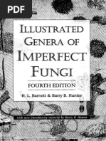 Download Illustrated Genera of Imperfect Fungi by Eduardo Anaya Morales SN340148742 doc pdf