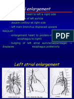 Cardiovascular System 2