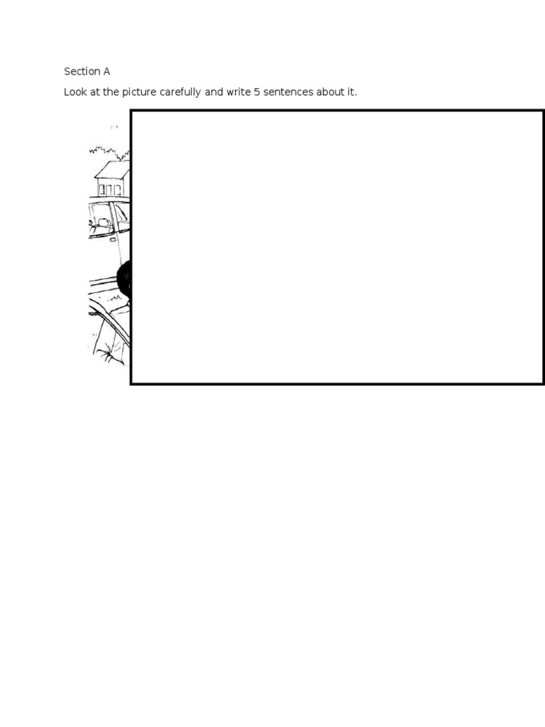 Section A Look at The Picture Carefully and Write 5 Sentences About It ...