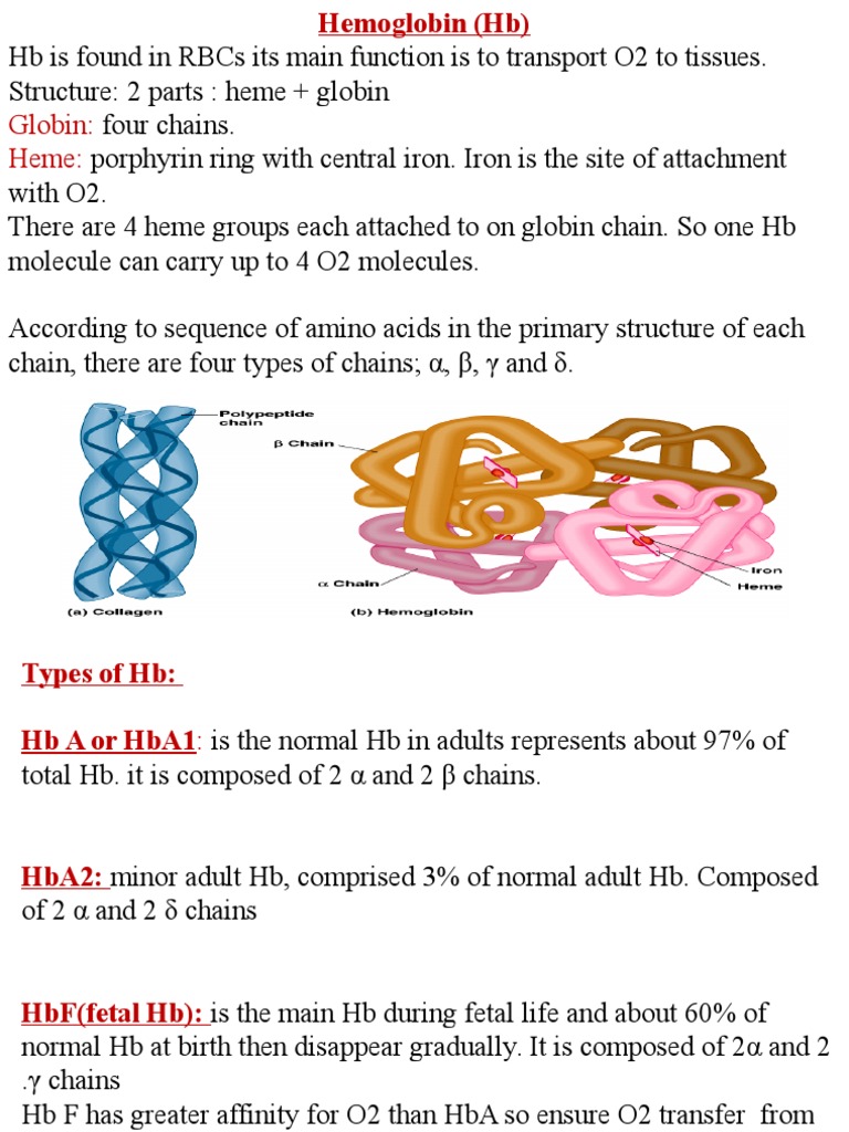 Hemoglobin Hemoglobin Anemia