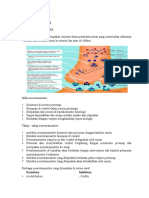 NEUROTRANSMITTER