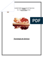 Folleto Carnico 2011 PDF