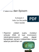 Plasmid Dan Episom