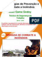 brigada-godoy.pdf