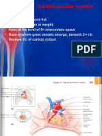 Cardiovascular System: Heart