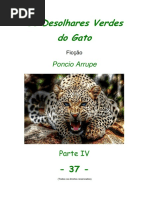 Cap. 37 - OS DESOLHARES VERDES DO GATO, por Pôncio Arrupe