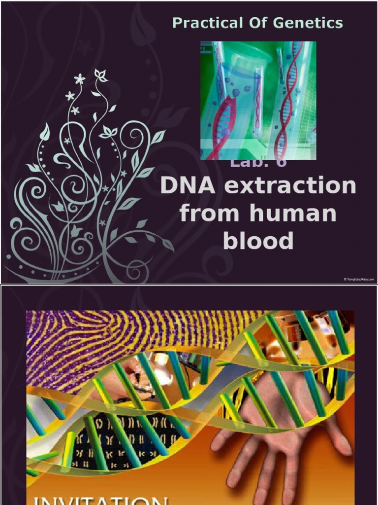 DNA Extraction From Human Blood Dna Chromosome