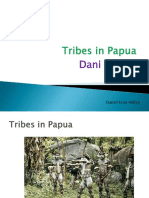 Tribes in Papua