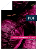 pigmentos1ano.pdf