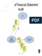 Overview of Financial Statement Audit: Assurer