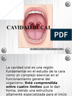 Cavidad Bucal (Completo)