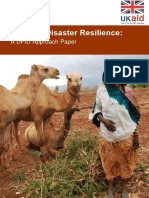 Defining Disaster Resilience A DFID Approach Paper PDF