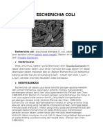 Escherichia Coli