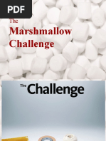 Mashmellow Challange Final