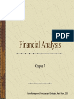 07FinAnalysis.pdf