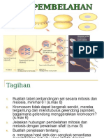 Bab 4 Pembelahan Sel