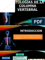 Patologías de La Columna Vertebral