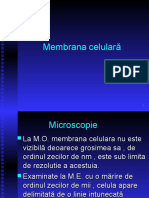 LP 5 - Membrana Celulara +