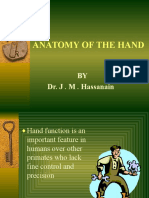 Anatomy of The Hand