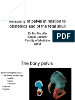 Anatomy of Pelvis and Fetal Skull, PDF, Pelvis