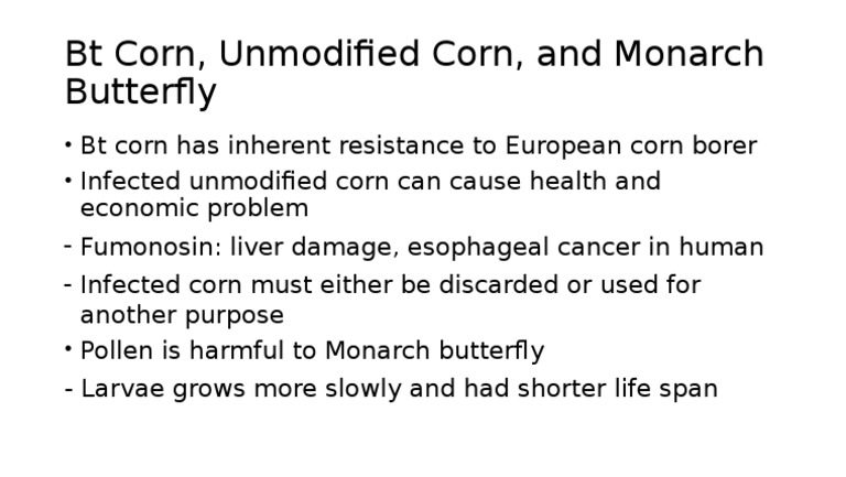 Bt Corn's Impact on Monarch Butterflies | PDF | Technology & Engineering