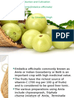 Production and Cultivation of Amla(Embelica officinalis).pptx