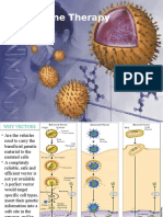 Vectors in Gene Therapy